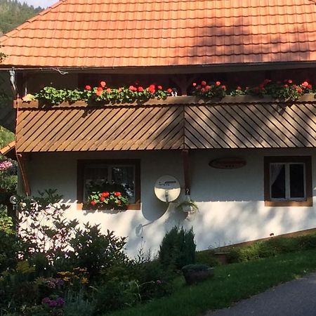 Ferienwohnung Zweilinden Steinen  Екстер'єр фото